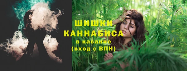 метадон Белокуриха