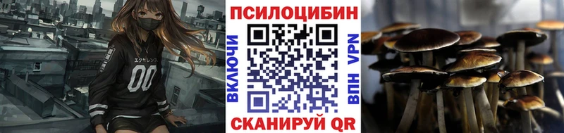 Псилоцибиновые грибы мицелий  Куйбышев 